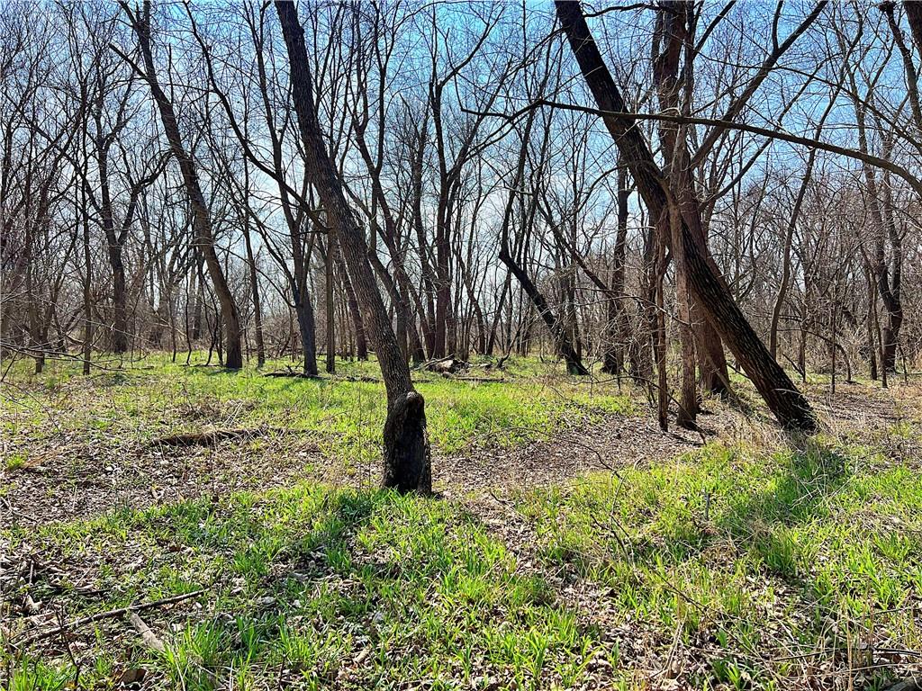 5947 State Highway Denver, MO 64441 - Photo 23 of 43