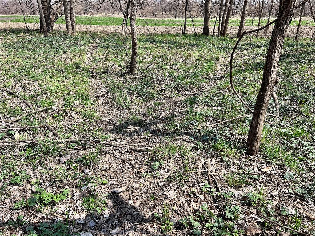 5947 State Highway Denver, MO 64441 - Photo 24 of 43