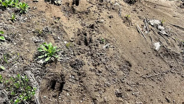 $199,500 | 5947 State Highway, Denver, MO 64441