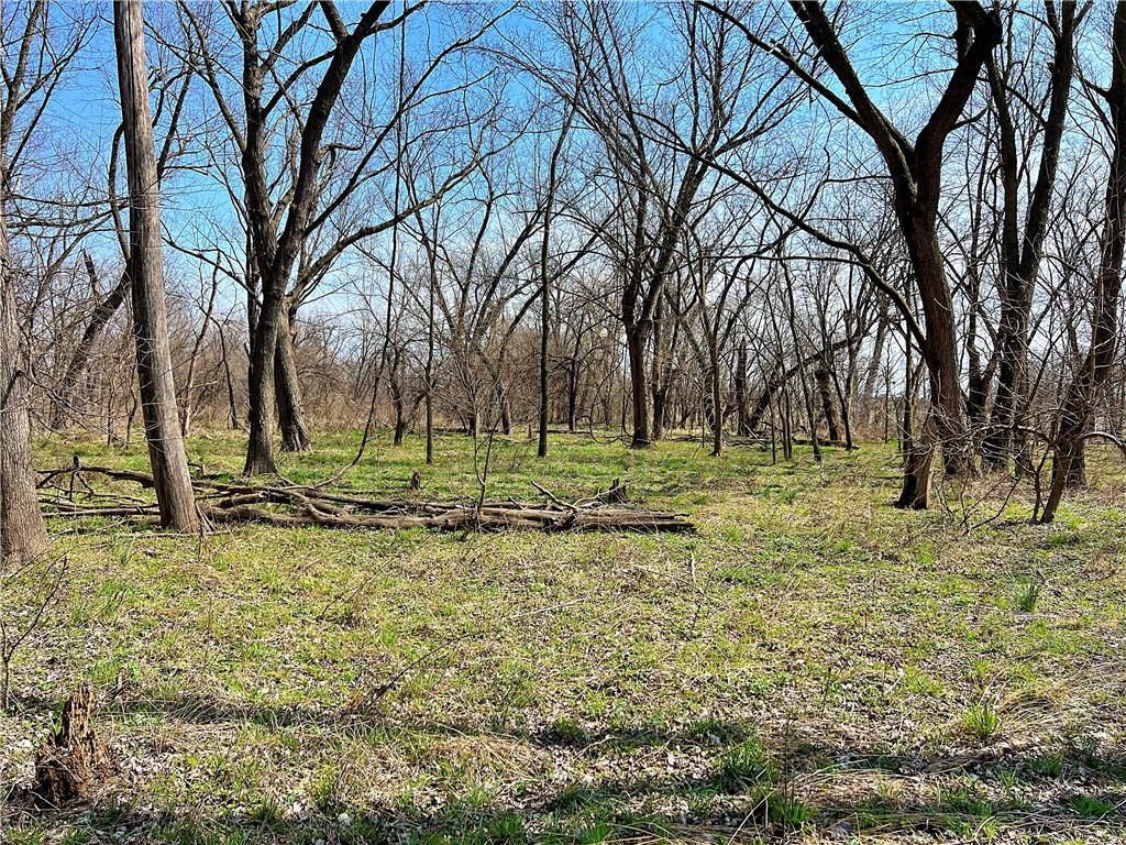 5947 State Highway Denver, MO 64441 - Photo 31 of 43
