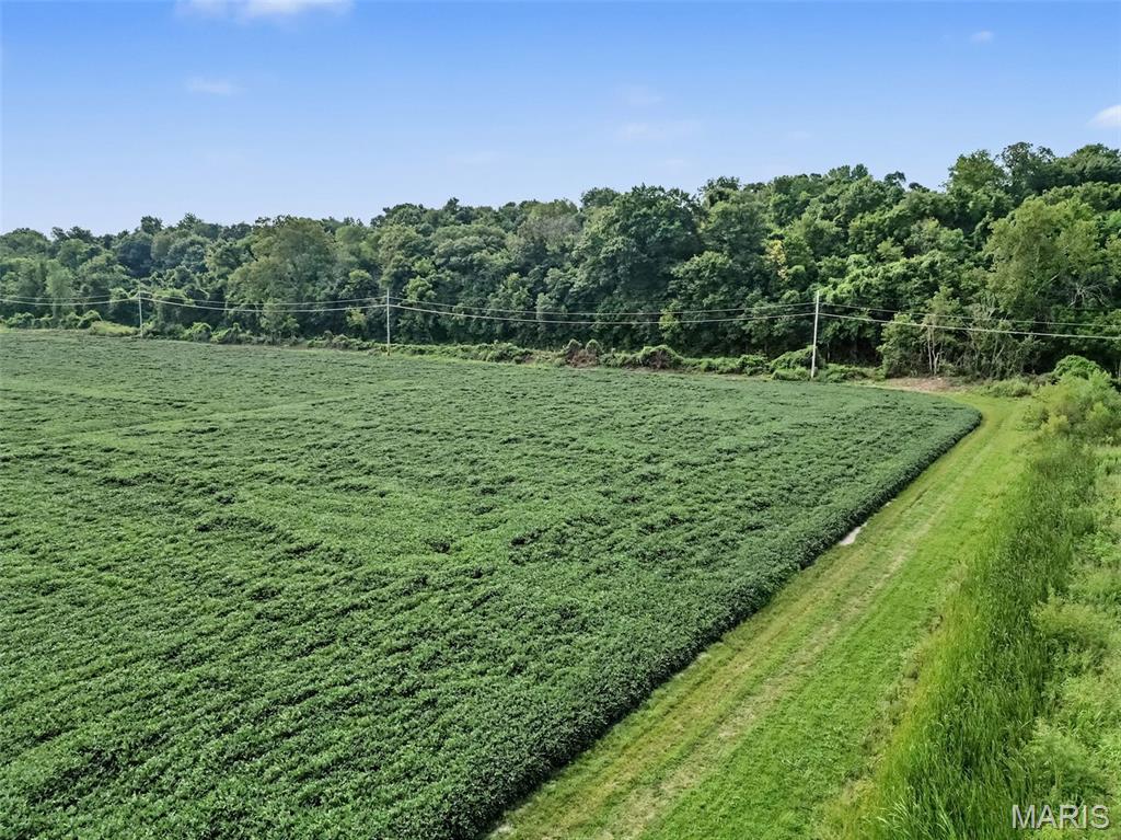 120 North Eatherton Road Chesterfield, MO 63005 - Photo 5 of 18 Gallery Image 5