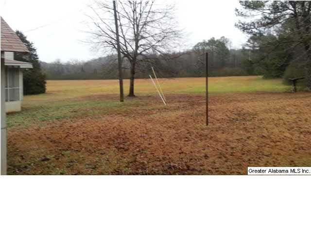 177 Willman Road Talladega, AL 35160 - Photo 20 of 20