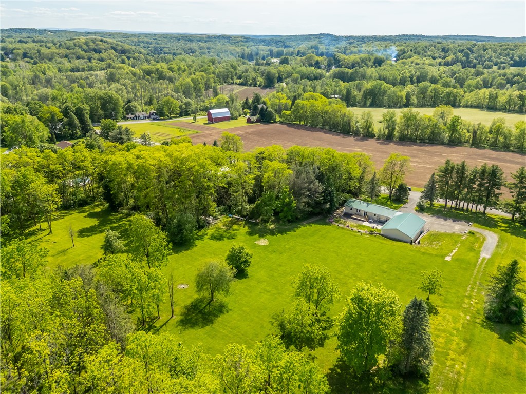2404 Cambier Road Arcadia, NY 14513 - Photo 3 of 31