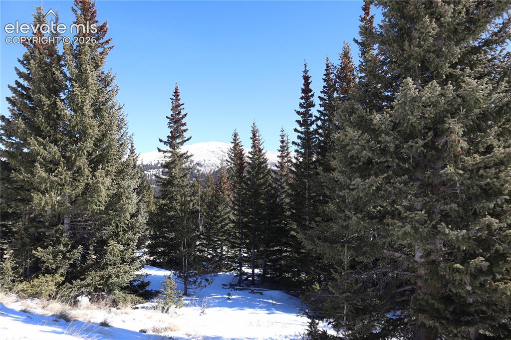 1480 Roberts Road Alma, CO 80420 - Photo 24 of 26