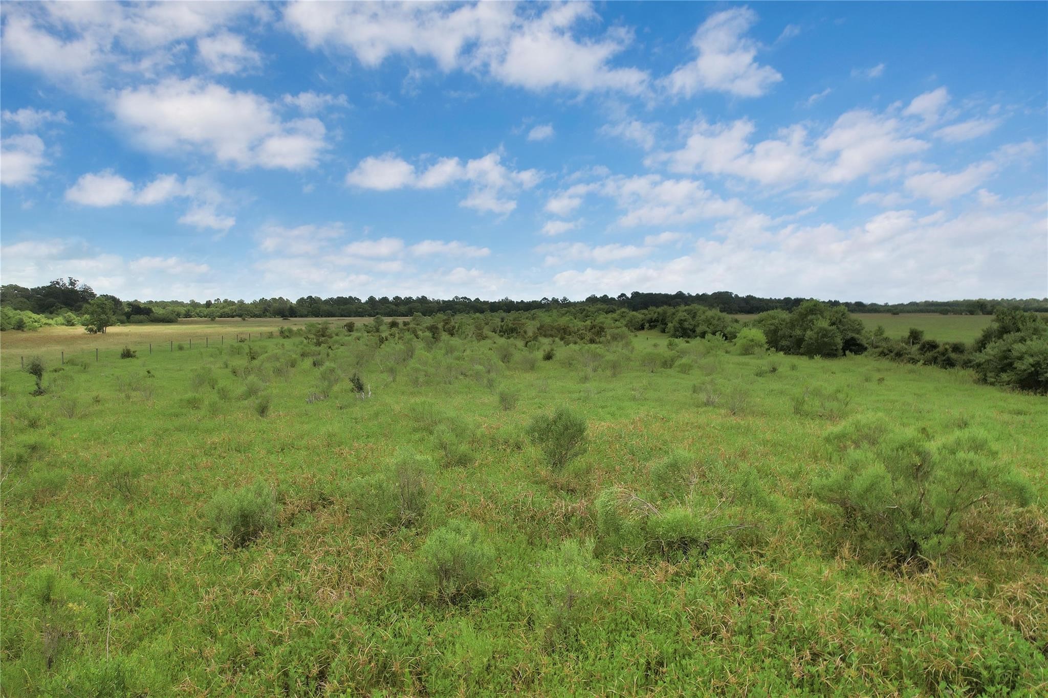 0 Jobe Wilson Road Anahuac, TX 77514 - Photo 1 of 13 a view of a lake with houses in the back
