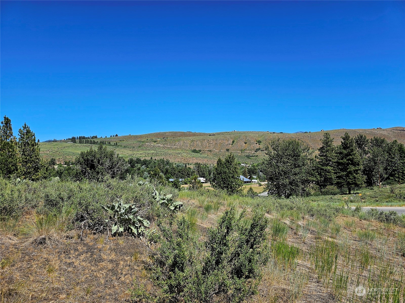 0 Horizon Flat Road Winthrop, WA 98862 - Photo 1 of 10 Gallery Image 1
