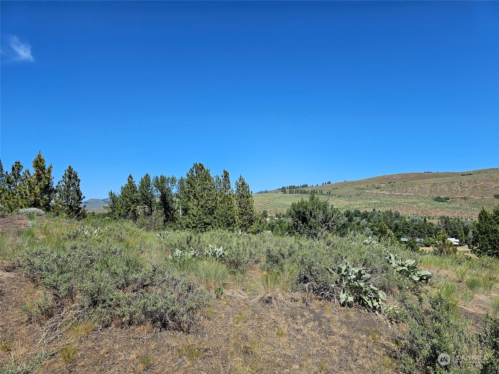 0 Horizon Flat Road Winthrop, WA 98862 - Photo 2 of 10 Gallery Image 2