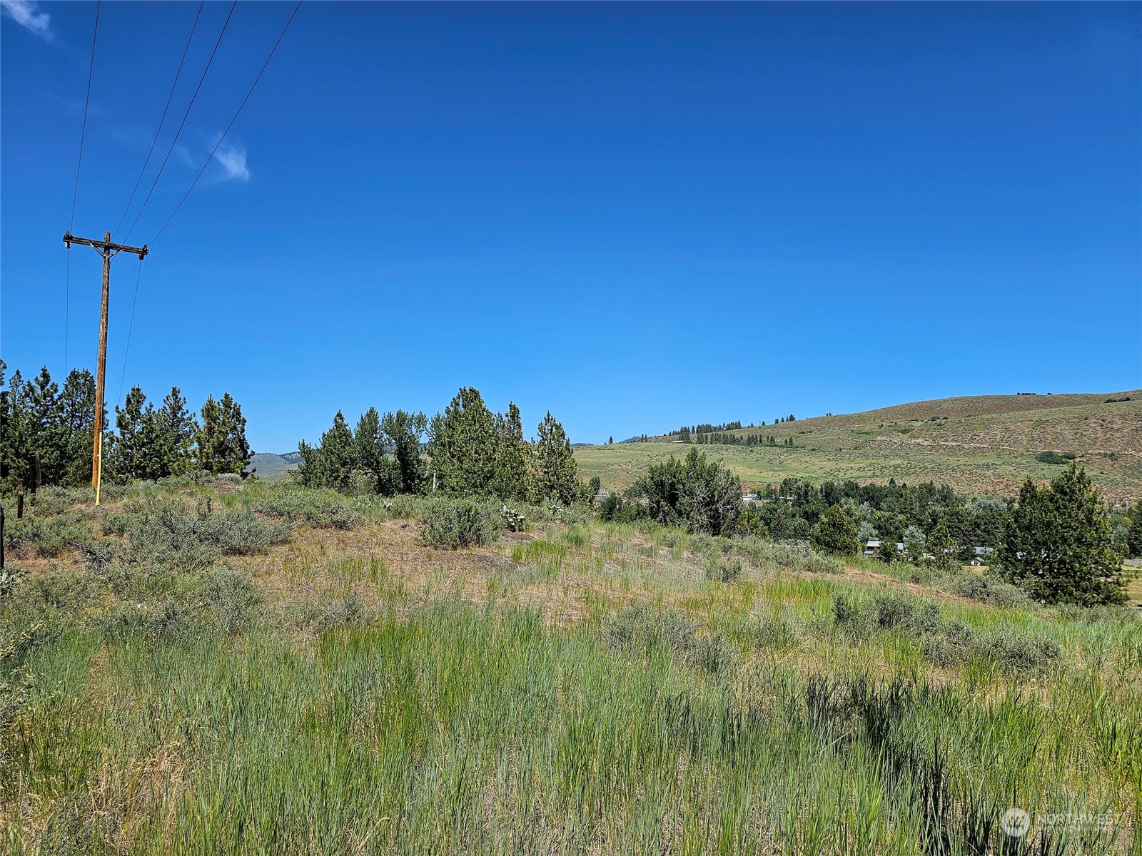 0 Horizon Flat Road Winthrop, WA 98862 - Photo 3 of 10 Gallery Image 3