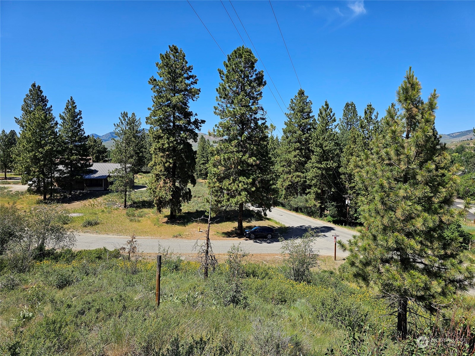 0 Horizon Flat Road Winthrop, WA 98862 - Photo 4 of 10 Gallery Image 4