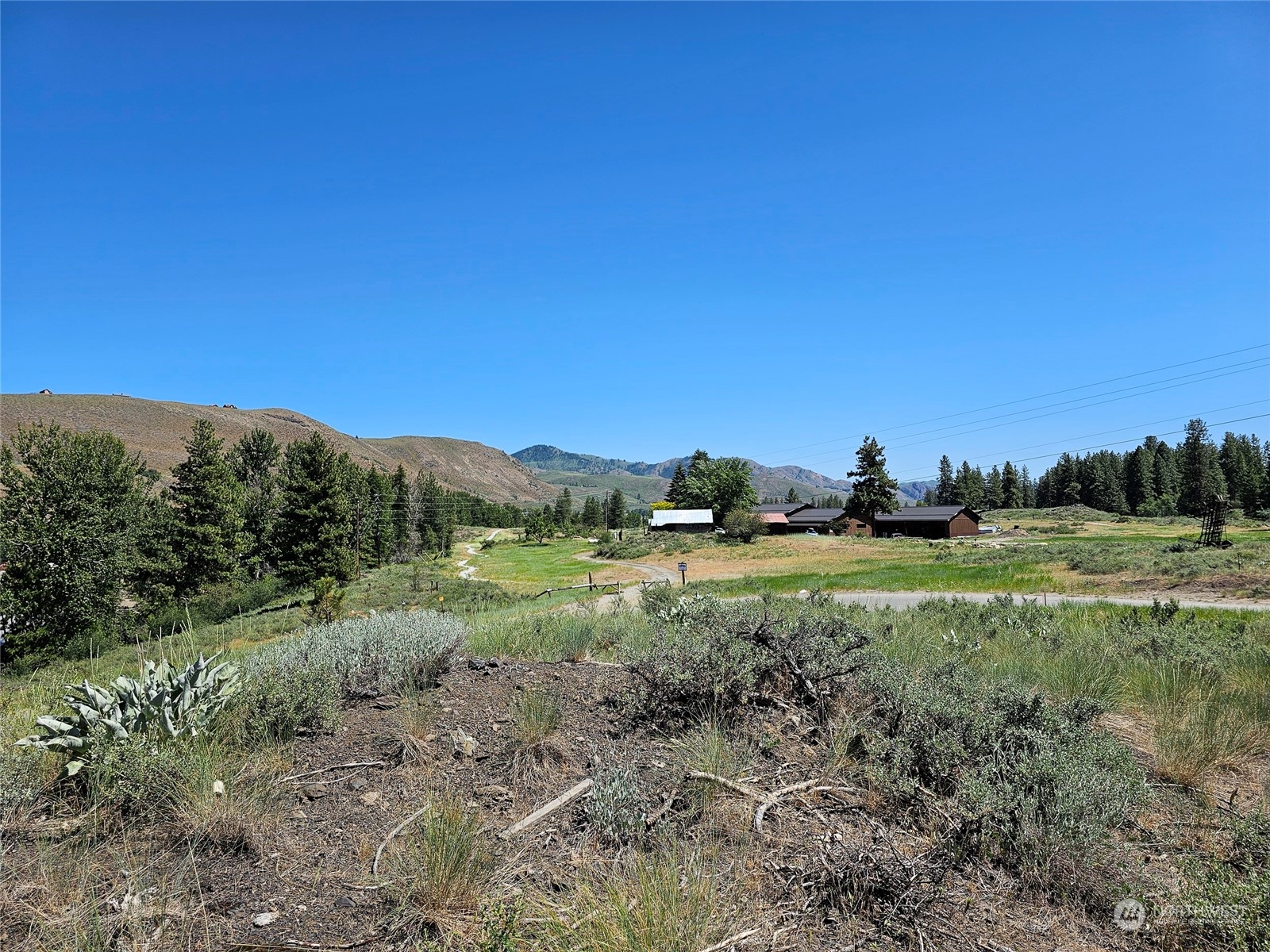 0 Horizon Flat Road Winthrop, WA 98862 - Photo 5 of 10 Gallery Image 5