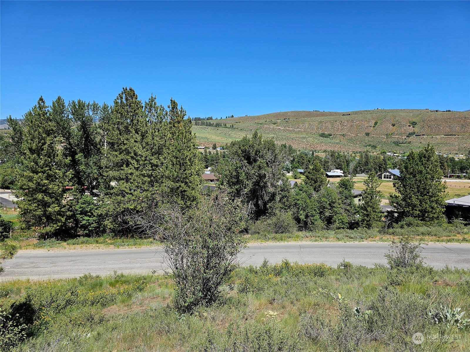 0 Horizon Flat Road Winthrop, WA 98862 - Photo 7 of 10 Gallery Image 7