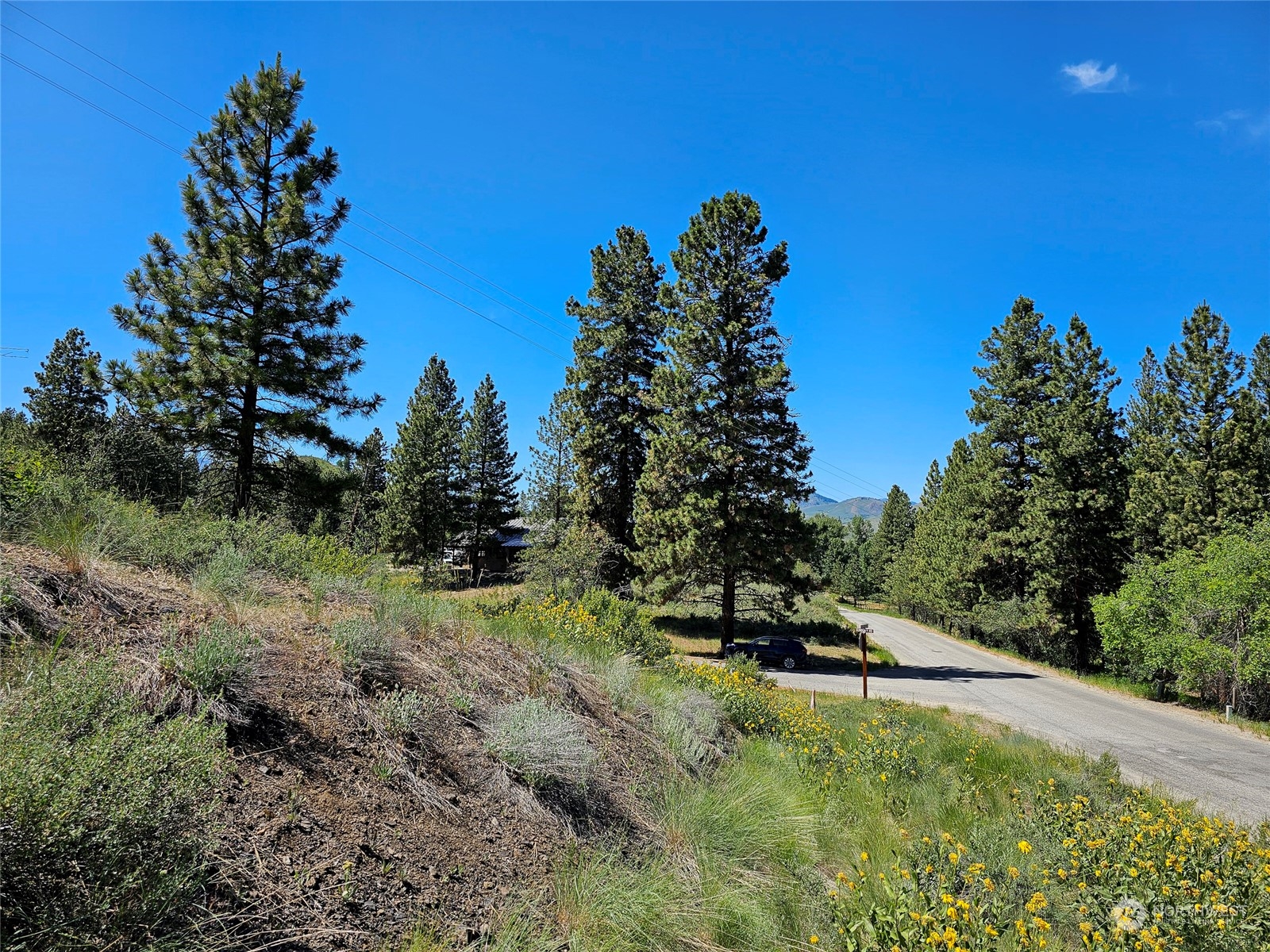 0 Horizon Flat Road Winthrop, WA 98862 - Photo 9 of 10 Gallery Image 9