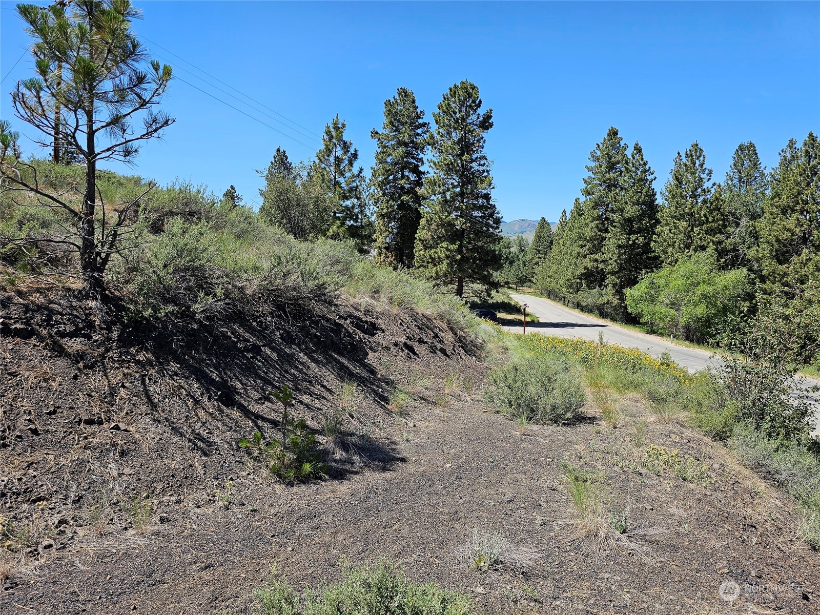 0 Horizon Flat Road Winthrop, WA 98862 - Photo 10 of 10 Gallery Image 10