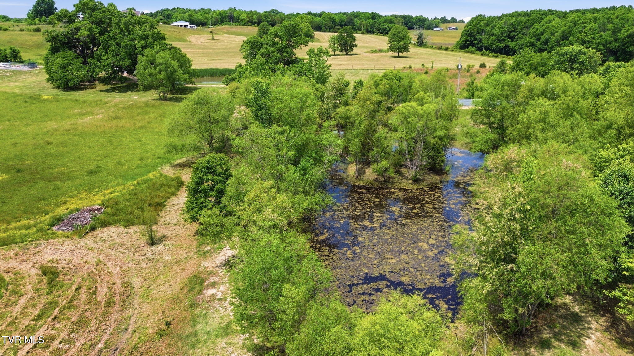 830 Toby Road Mohawk, TN 37810 - Photo 6 of 67 5-web-or-mls-DJI_0107
