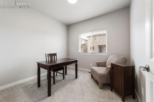 5289 Palomino Ranch Point Colorado Springs, CO 80922 - Photo 16 of 25 Gallery Image 16