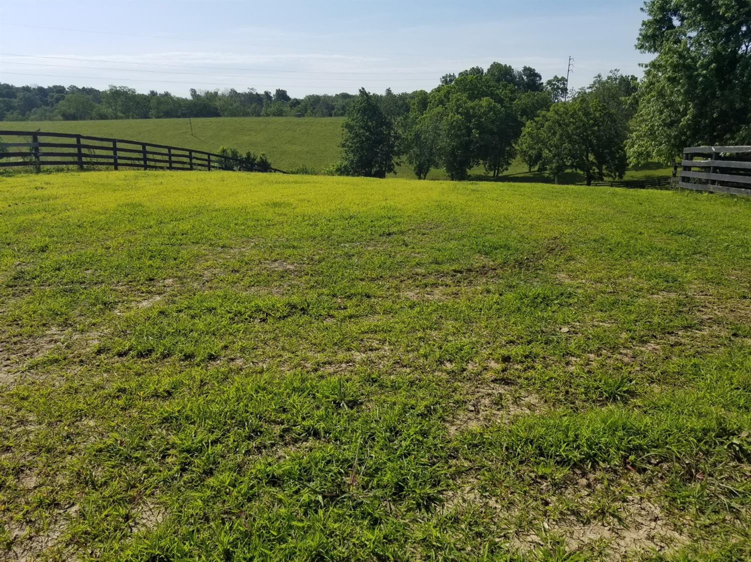 499 Levy Road Paris, KY 40361 - Photo 22 of 23 Listing Photo