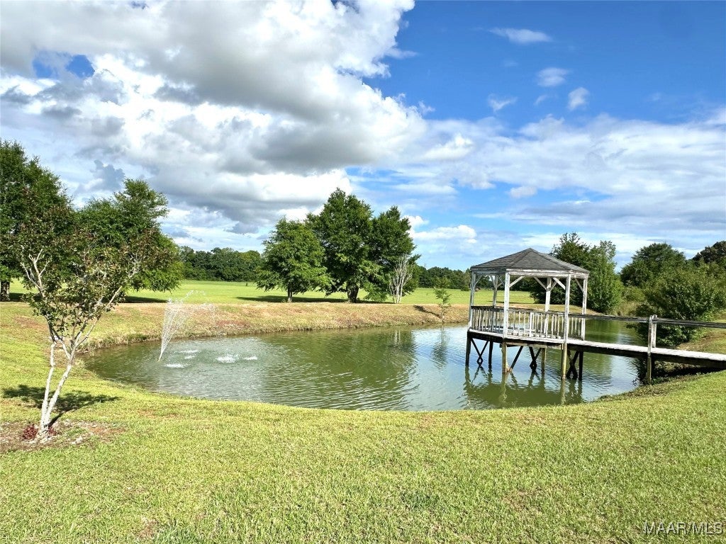 224 David Hussey Road Newton, AL 36352 - Photo 36 of 43 Stocked Fishing Pond