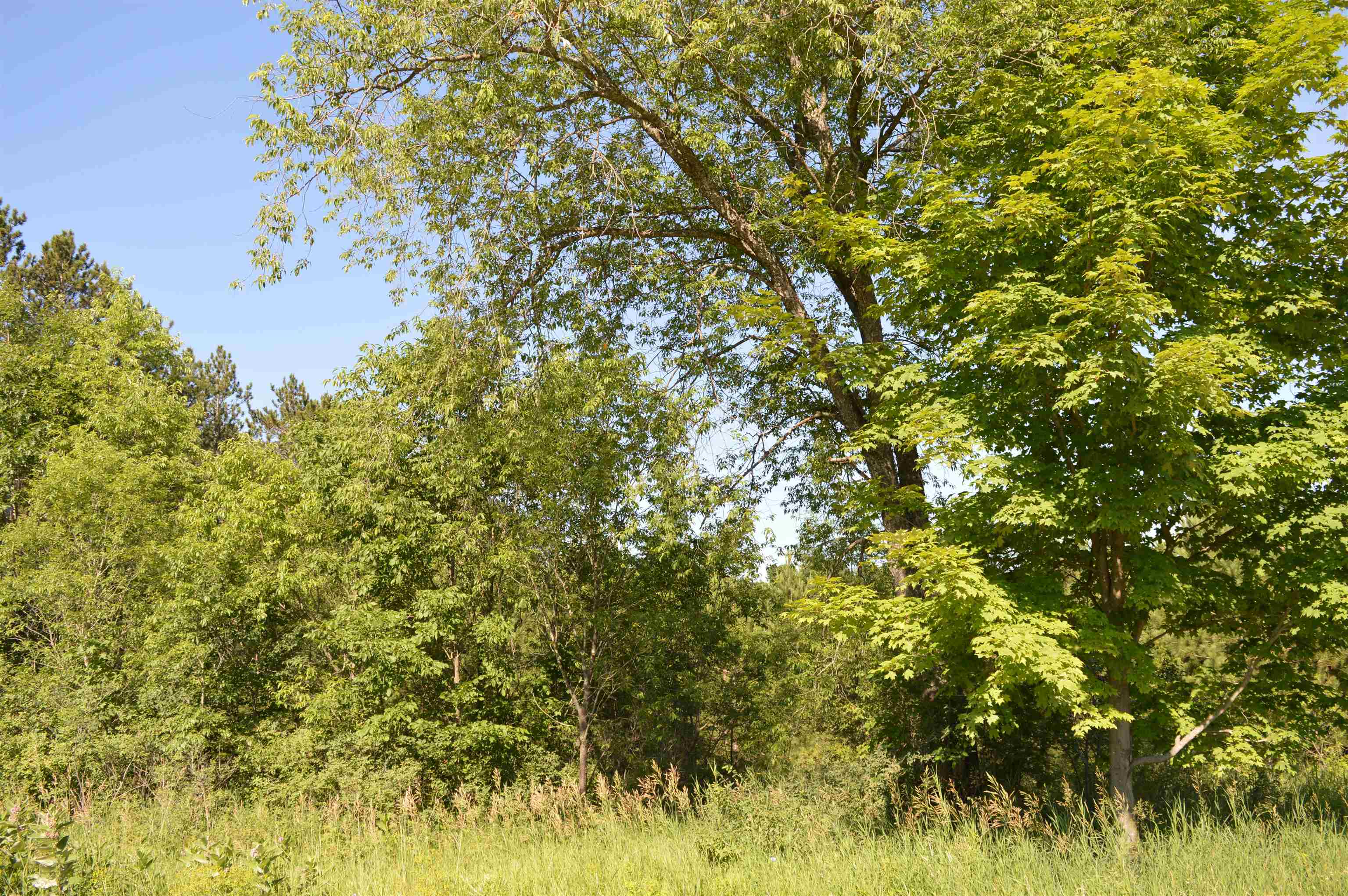 Northeast Holly Road, Unit LOT: A Kalkaska, MI 49646 - Photo 3 of 27