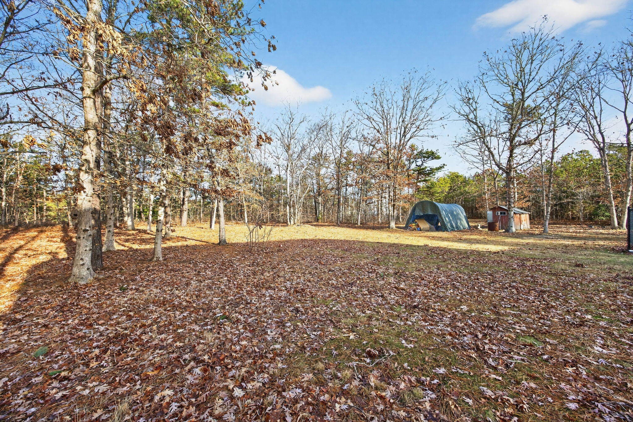 57 Grand Oak Road Forestdale, MA 02644 - Photo 37 of 41 11-PF0A3654