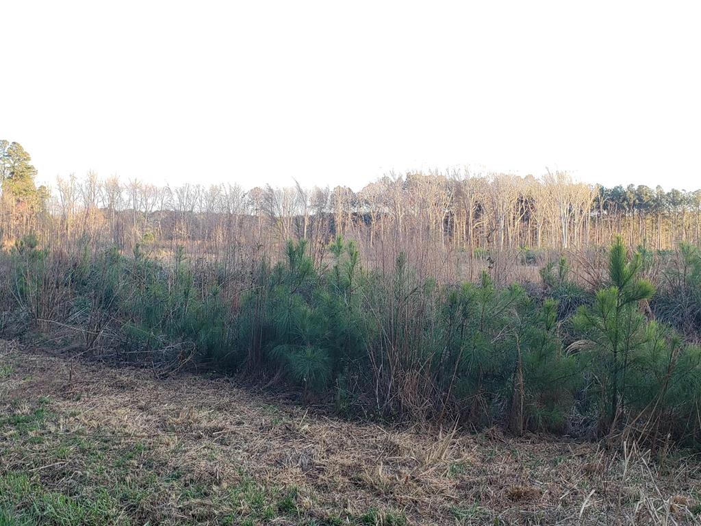 Lot 35 Country Club Road, Unit 35D Melfa, VA 23410 - Photo 6 of 17