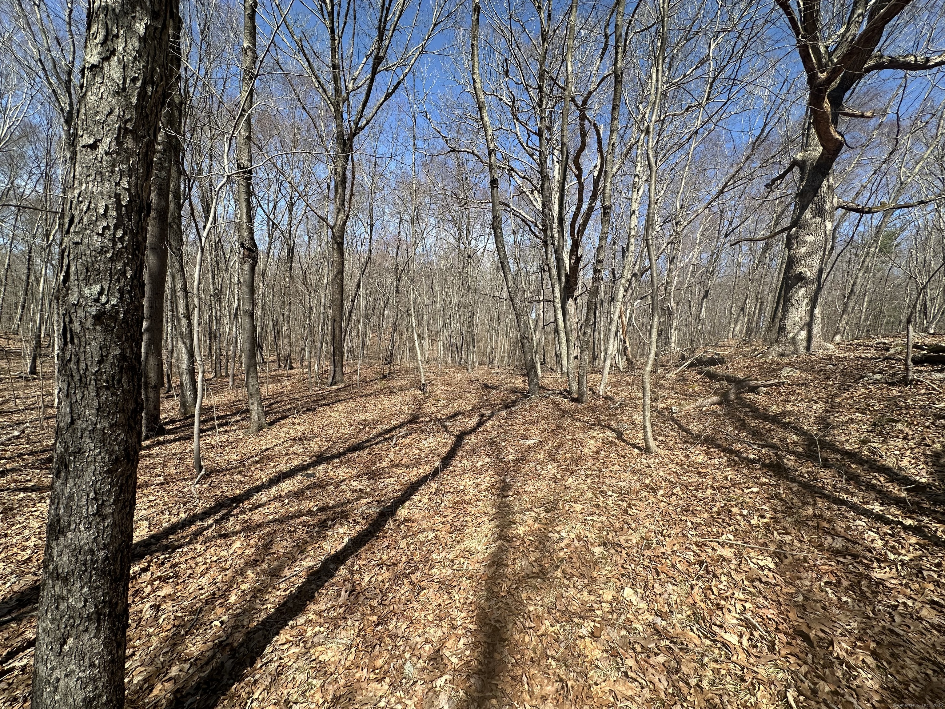 0 Cowles Road Woodbury, CT 06798 - Photo 3 of 12