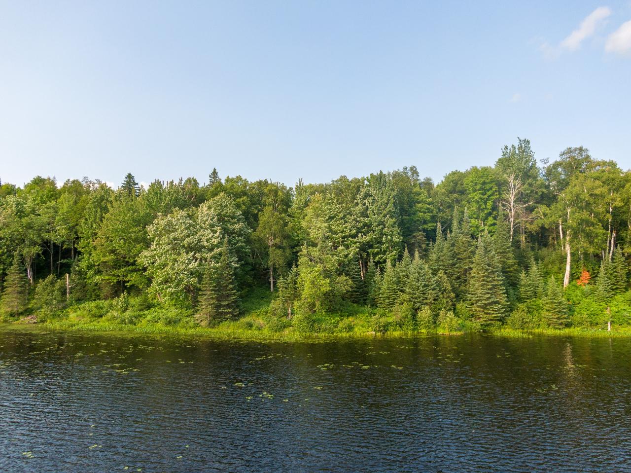 Off Pomeroy Lk Road, Unit LOT 27 Marenisco, MI 49947 - Photo 25 of 28 Gallery Image 25