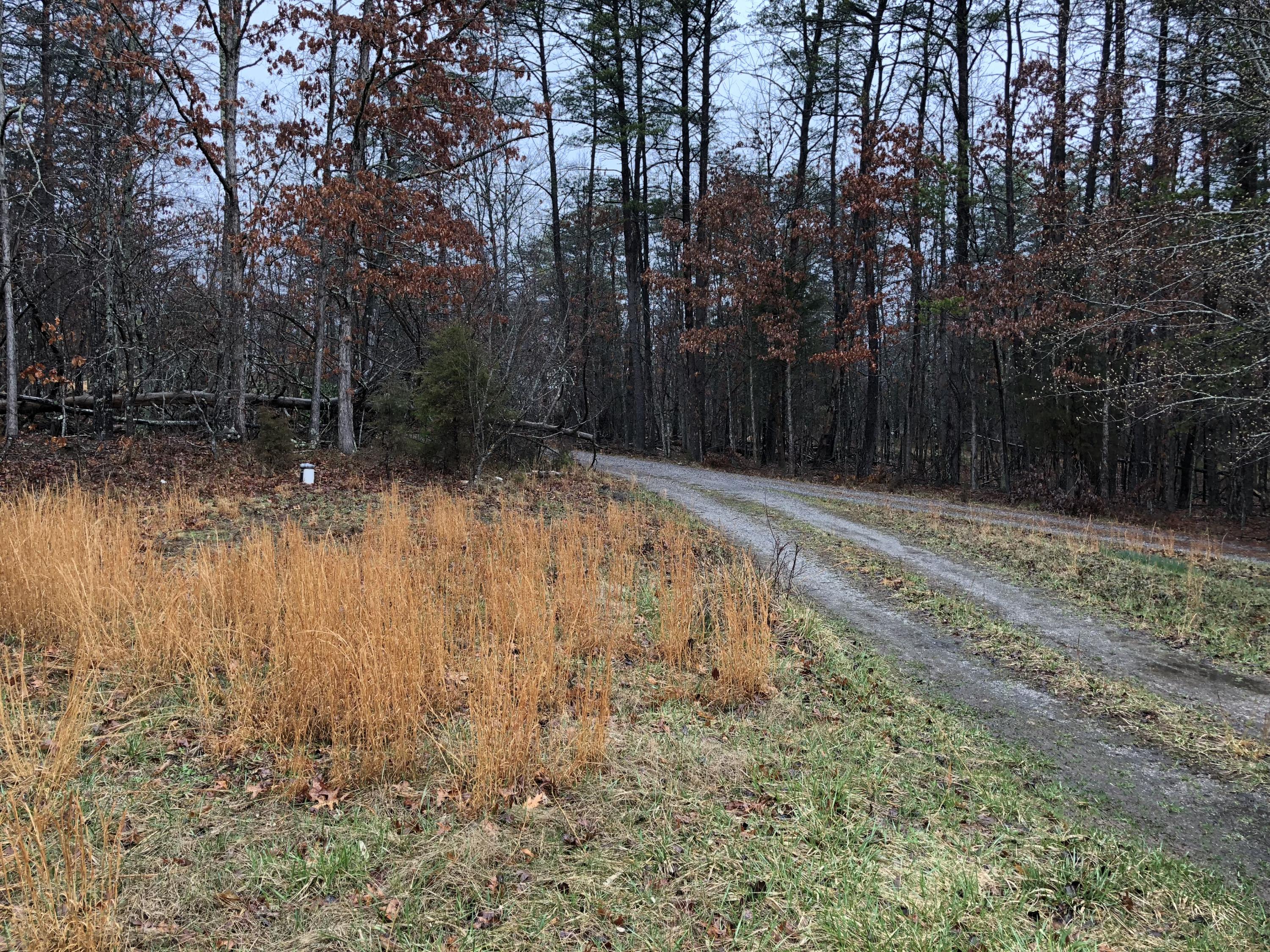2554 Reesedale Road Elliston, VA 24087 - Photo 14 of 16 IMG_1039
