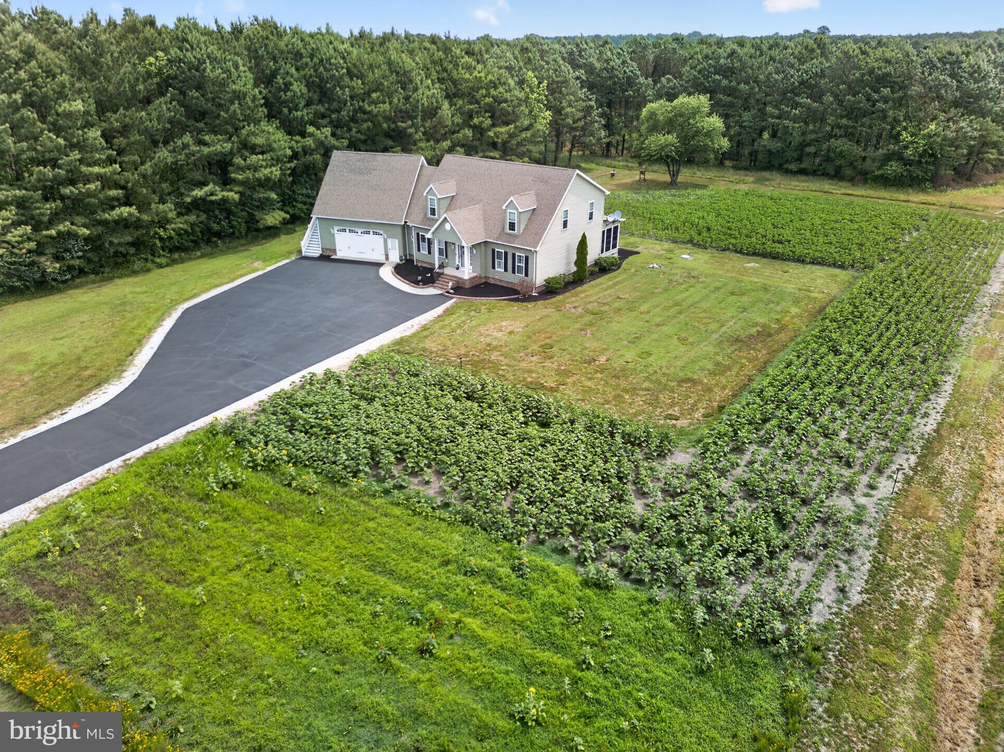 2435 Payne Road Pocomoke City, MD 21851 - Photo 14 of 85