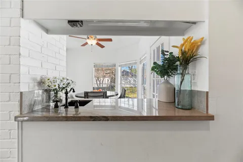 a closeup of a sink with a potted plant on it