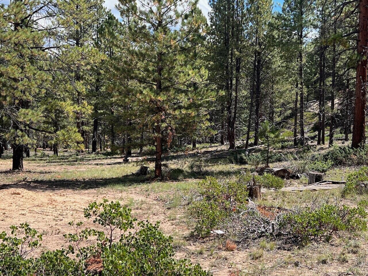 Lot # Elk Ridge Estates Alton, UT 84710 - Photo 4 of 5 5a