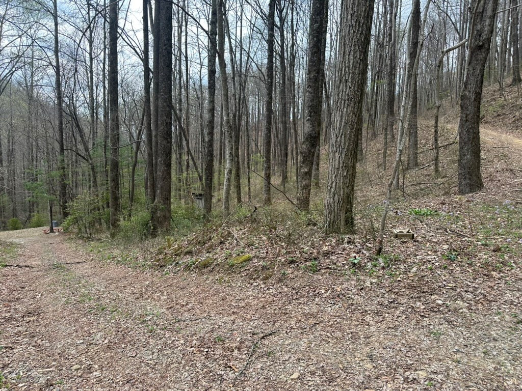 Tbd Clearview Lane Murphy, NC 28906 - Photo 12 of 29