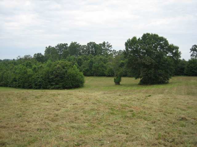 ? Sarah Simpson Road Starr, SC 29684 - Photo 3 of 9 Gallery Image 3
