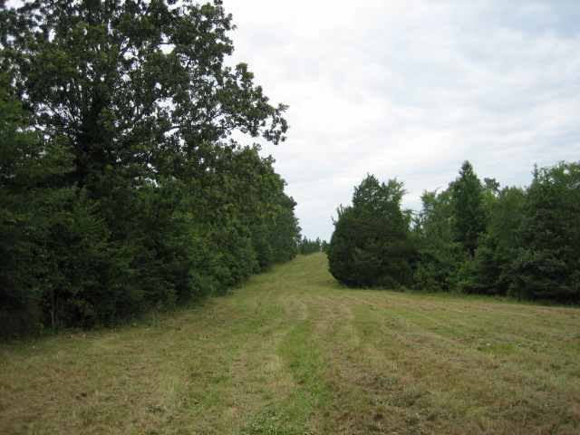 ? Sarah Simpson Road Starr, SC 29684 - Photo 5 of 9 Gallery Image 5