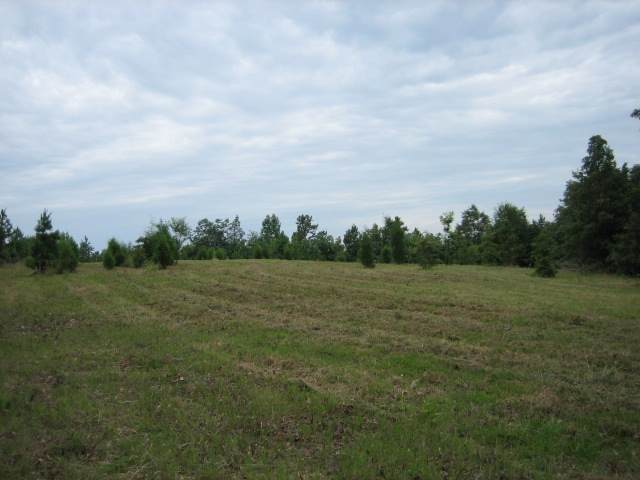 ? Sarah Simpson Road Starr, SC 29684 - Photo 6 of 9 Gallery Image 6