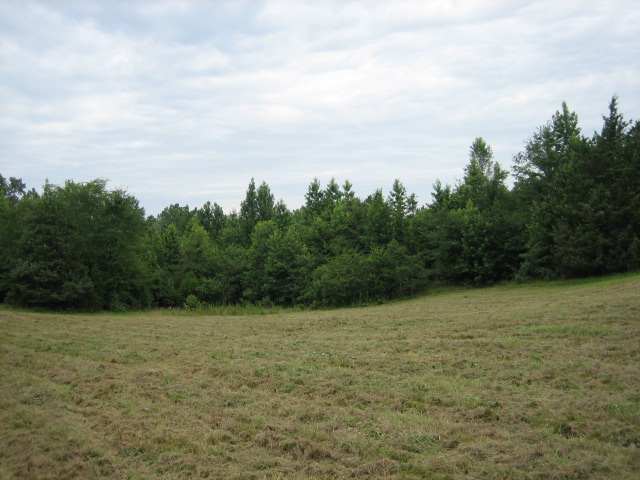 ? Sarah Simpson Road Starr, SC 29684 - Photo 7 of 9 Gallery Image 7