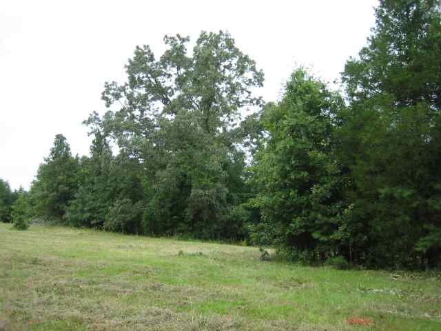 ? Sarah Simpson Road Starr, SC 29684 - Photo 8 of 9 Gallery Image 8