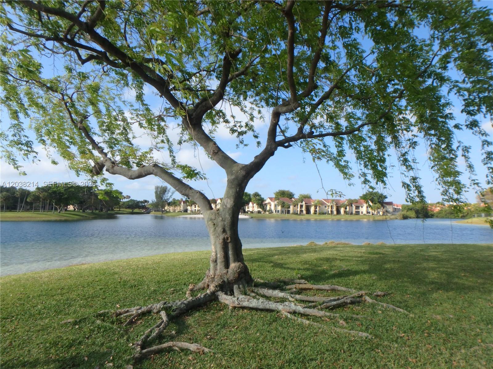 9727 Hammocks Boulevard, Unit 101D Miami, FL 33196 - Photo 4 of 12 a view of a tree with a yard