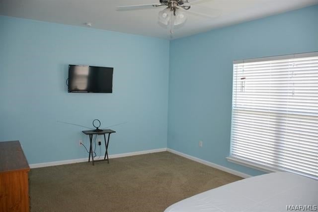 6533 Judge Logue Road Newton, AL 36352 - Photo 12 of 32 Gallery Image 12