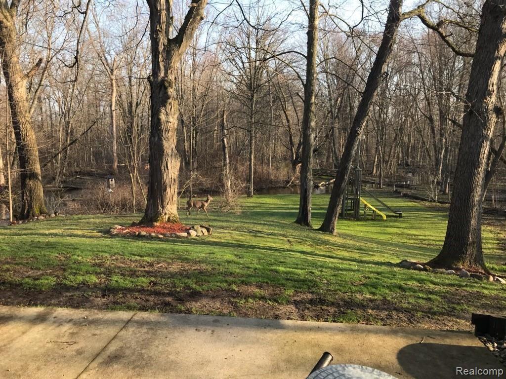 2106 West Cook Road Grand Blanc, MI 48439 - Photo 16 of 65 Hello Deer!.jpg