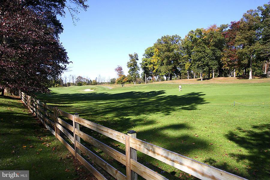 10831 Lockland Road Potomac, MD 20854 - Photo 15 of 16 a view of a park with large trees