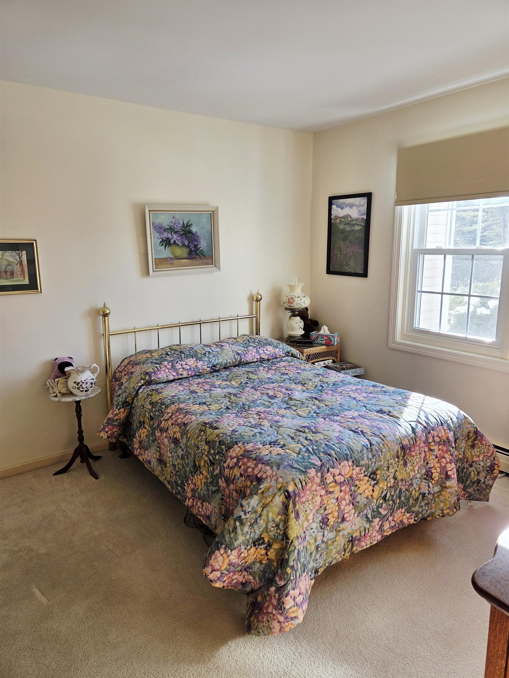 332 Parkside Road, Unit 17 New London, NH 03257 - Photo 15 of 16