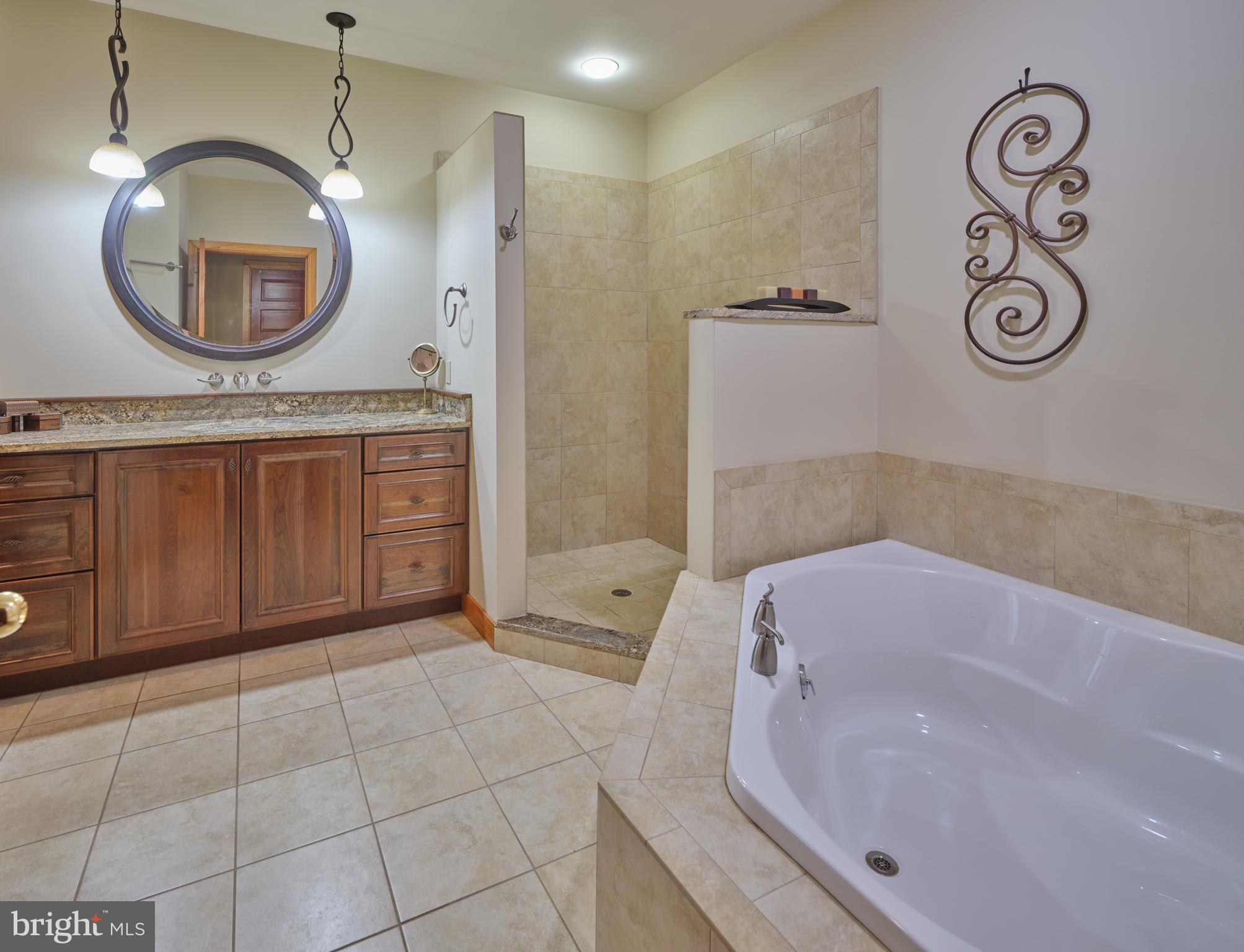 810 Callowhill Road Perkasie, PA 18944 - Photo 16 of 36 a bathroom with a bathtub a mirror a vanity and a shower