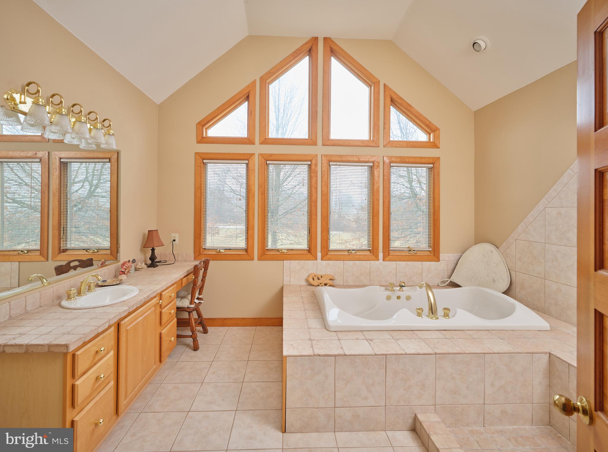 810 Callowhill Road Perkasie, PA 18944 - Photo 20 of 36 a spacious bathroom with a granite countertop tub and a large window