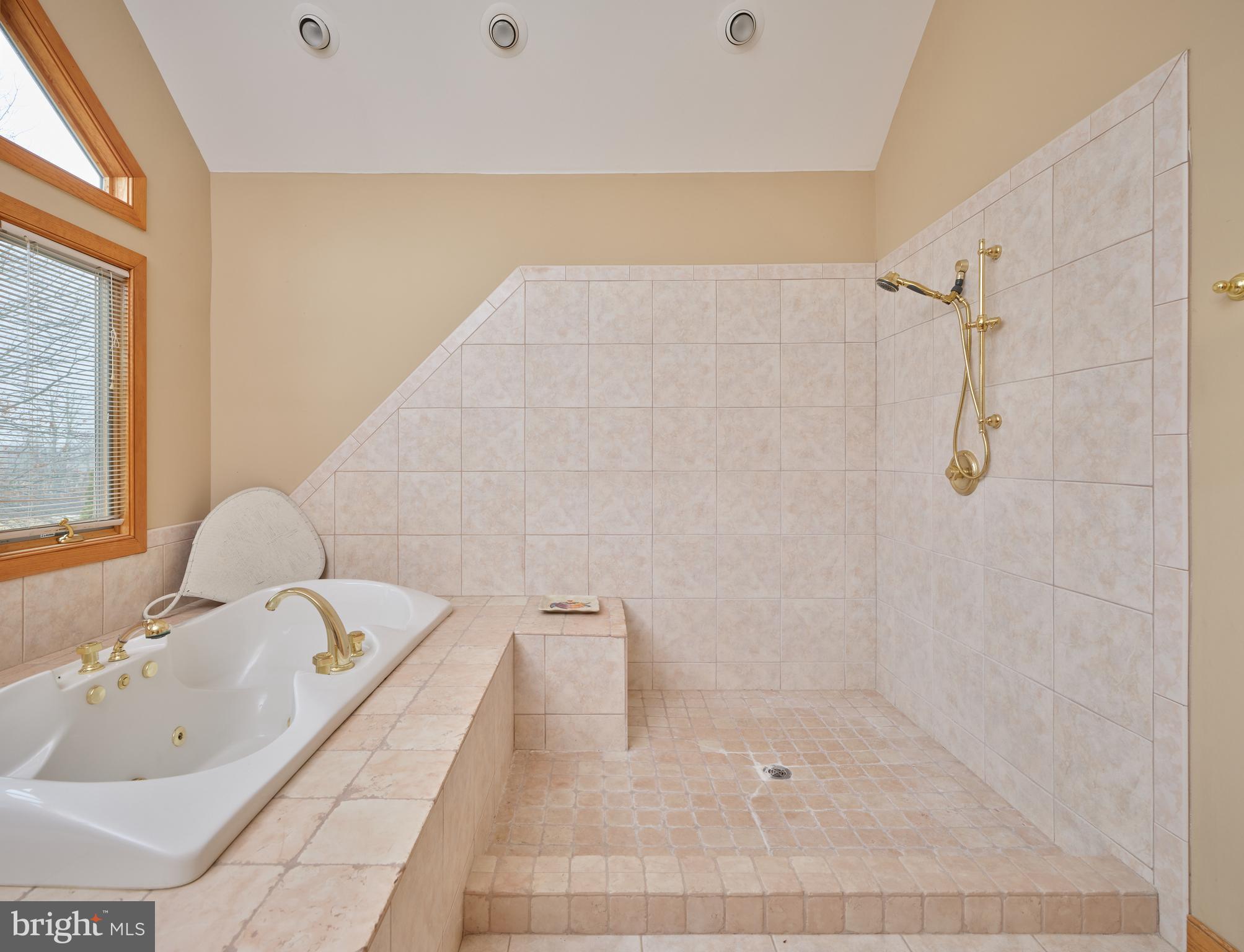 810 Callowhill Road Perkasie, PA 18944 - Photo 21 of 36 a bathroom with a bathtub and a sink
