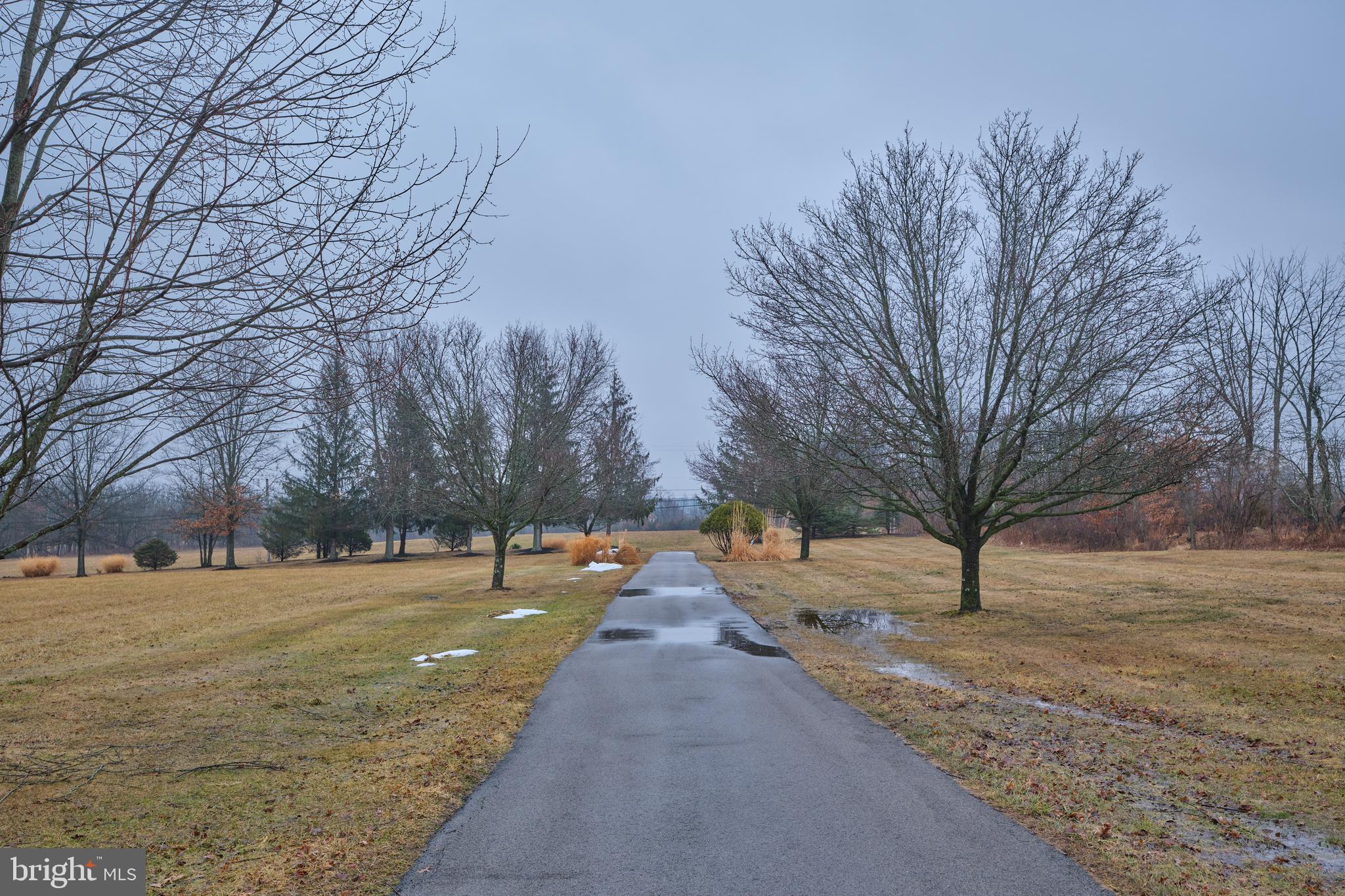 810 Callowhill Road Perkasie, PA 18944 - Photo 36 of 36 a view of road with trees