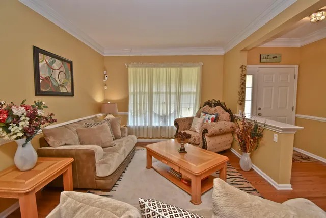 a living room with furniture a couch and a potted plant