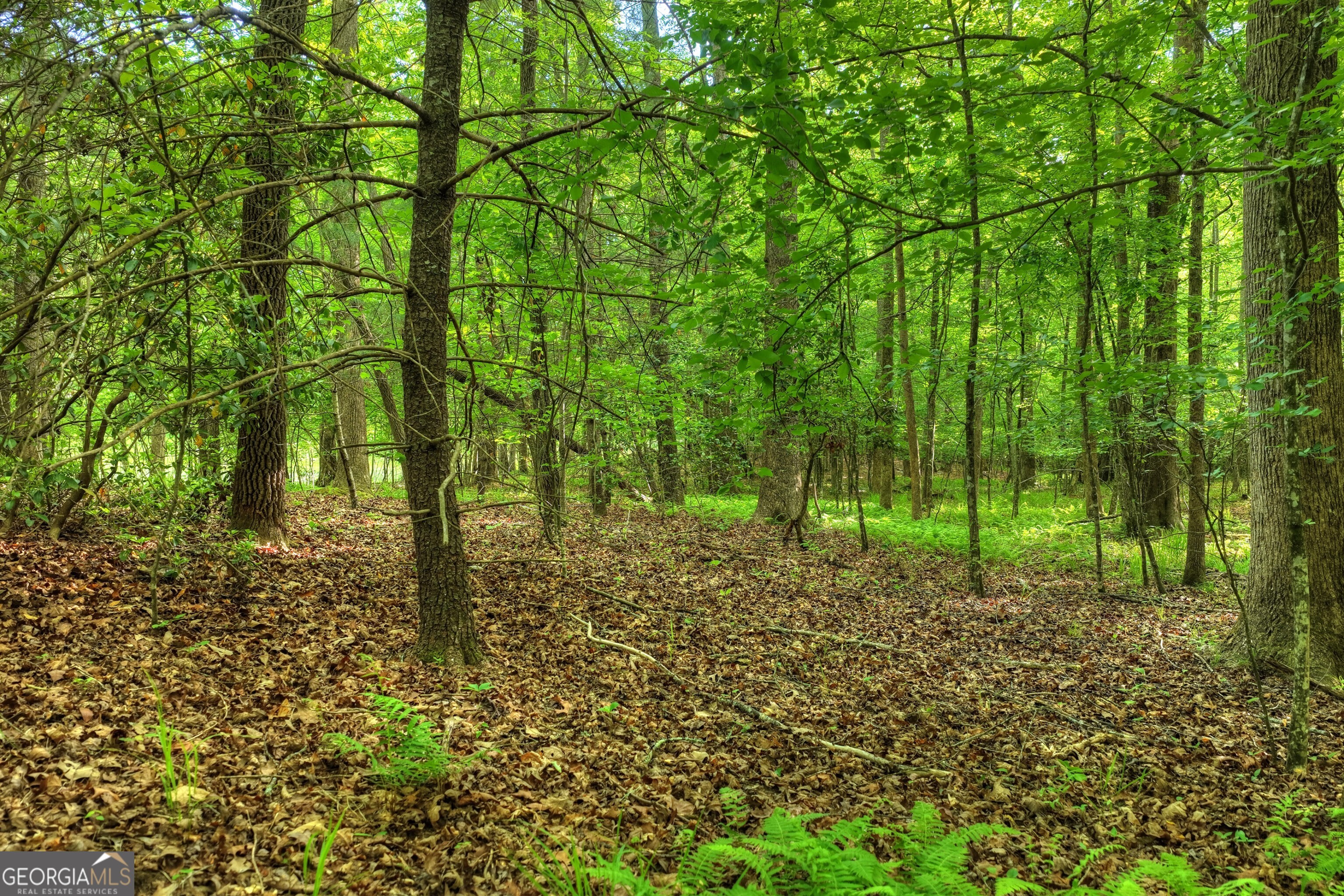 8-ac Mcnelley Road Morganton, GA 30560 - Photo 41 of 47