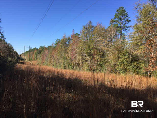 0 Boothtown Road Citronelle, AL 36522 - Photo 6 of 10