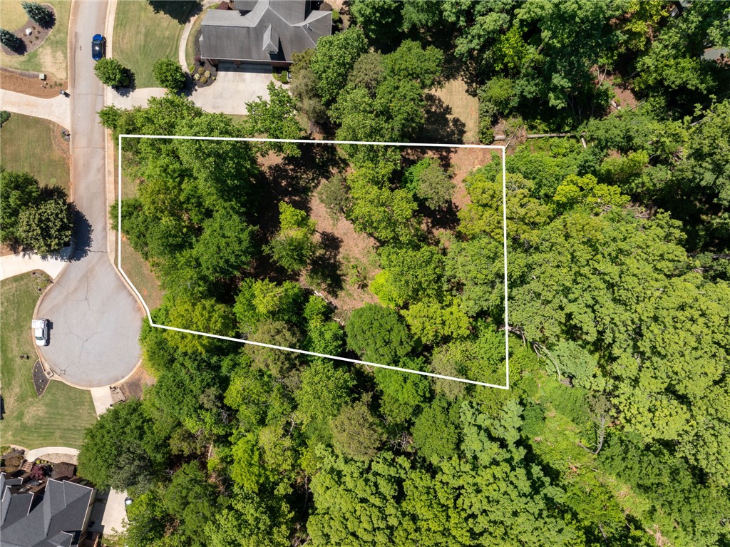 A verdant, undeveloped lot offers a prime opportunity for building in a peaceful residential area.