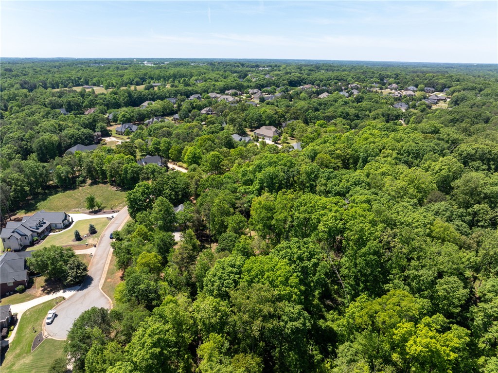 131 Loudwater Drive Anderson, SC 29621 - Photo 12 of 20 This elevated view captures a serene neighborhood nestled within a vibrant, verdant landscape.